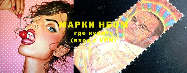 соль ск Верхний Тагил