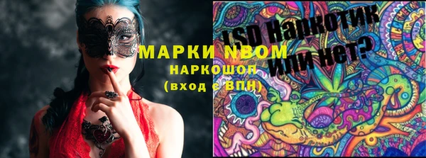 соль ск Верхний Тагил