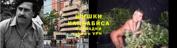 соль ск Верхний Тагил