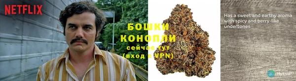соль ск Верхний Тагил